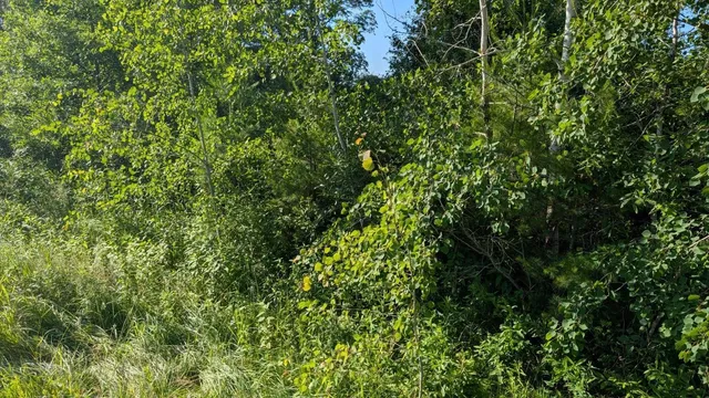 $285,000 | Tbd 60th Street Southwest, Pequot Lakes, MN 56472