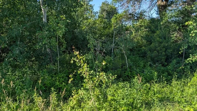 $285,000 | Tbd 60th Street Southwest, Pequot Lakes, MN 56472