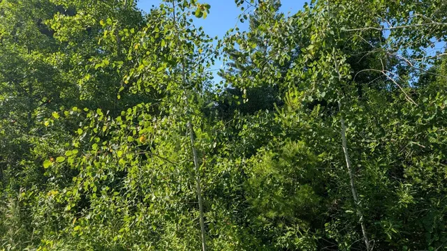 $285,000 | Tbd 60th Street Southwest, Pequot Lakes, MN 56472