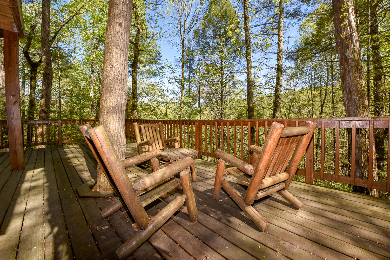 427 Laurel Road Townsend, TN 37882 - Photo 18 of 19 _DSC1423