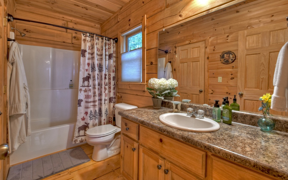 157 Little Bushy Head Road Blue Ridge, GA 30513 - Photo 6 of 50 Additional View