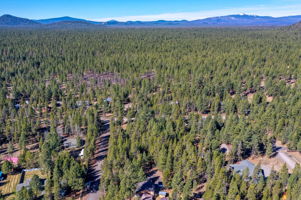 16948 Rosemead Road Bend, OR 97707 - Photo 23 of 33 DJI_0316