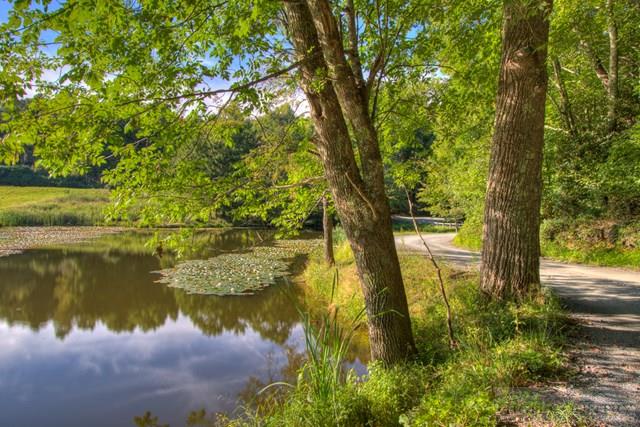 691 Pine Hill Road Boone, NC 28607 - Photo 20 of 31 Gallery Image 20