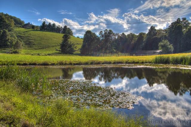 691 Pine Hill Road Boone, NC 28607 - Photo 22 of 31 Gallery Image 22