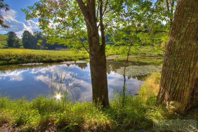 691 Pine Hill Road Boone, NC 28607 - Photo 23 of 31 Gallery Image 23