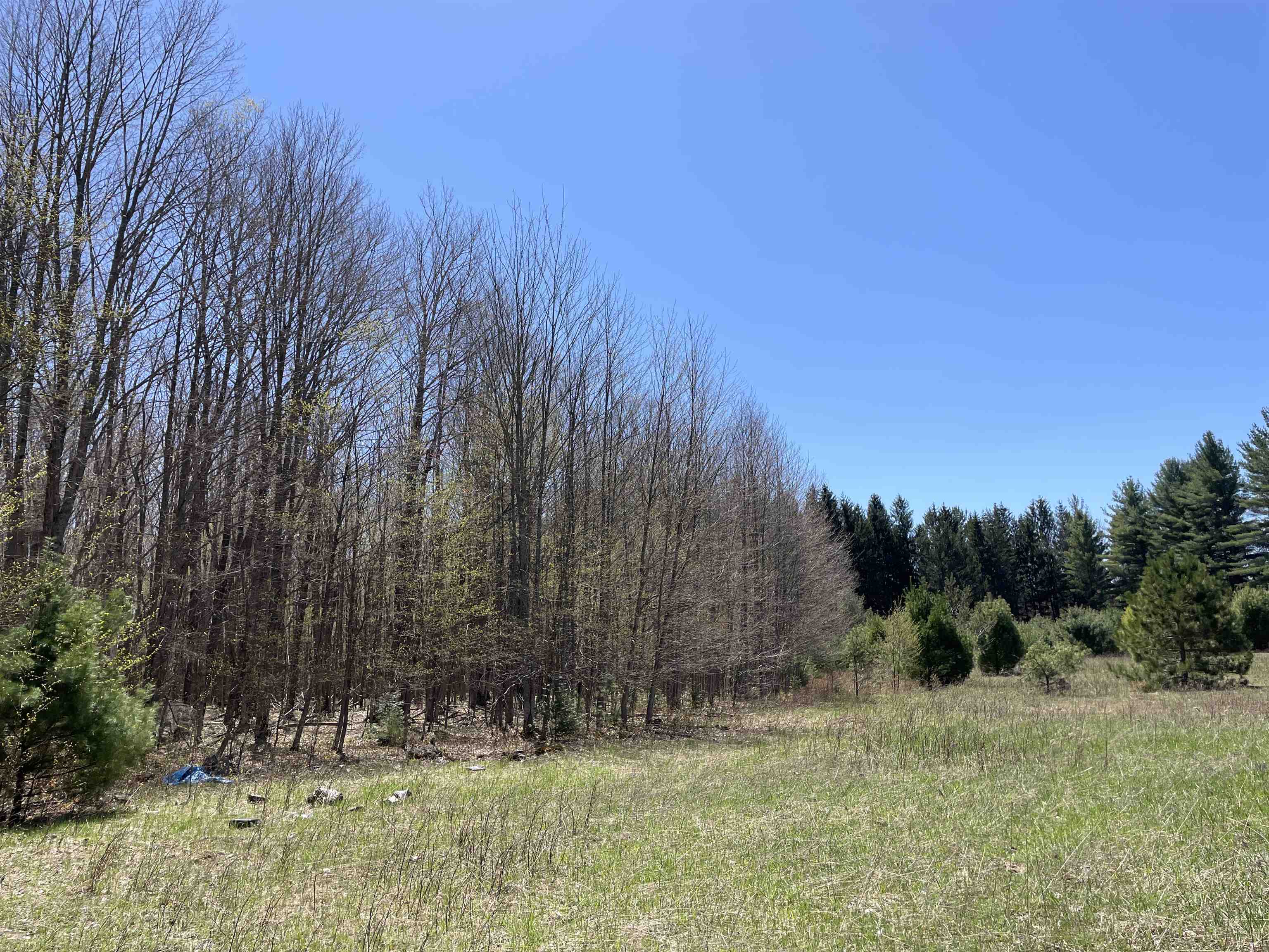 0 East 38 Road Cadillac, MI 49601 - Photo 12 of 39