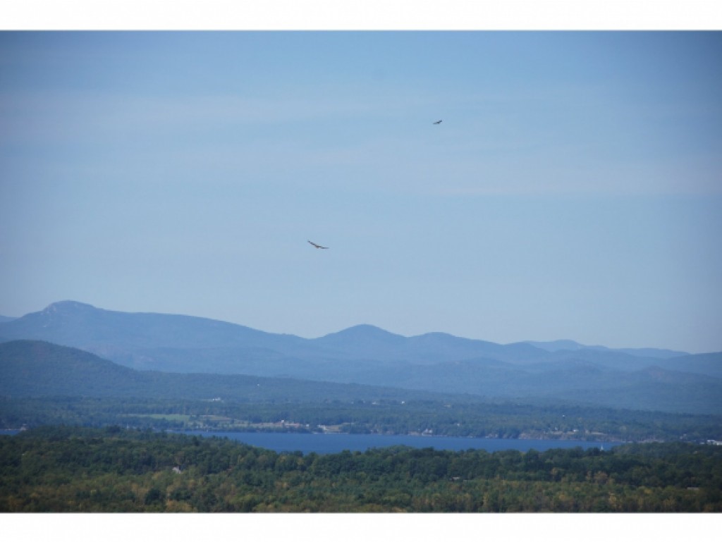 6048 Mt Philo Road Charlotte, VT 05445 - Photo 36 of 36 Gallery Image 36