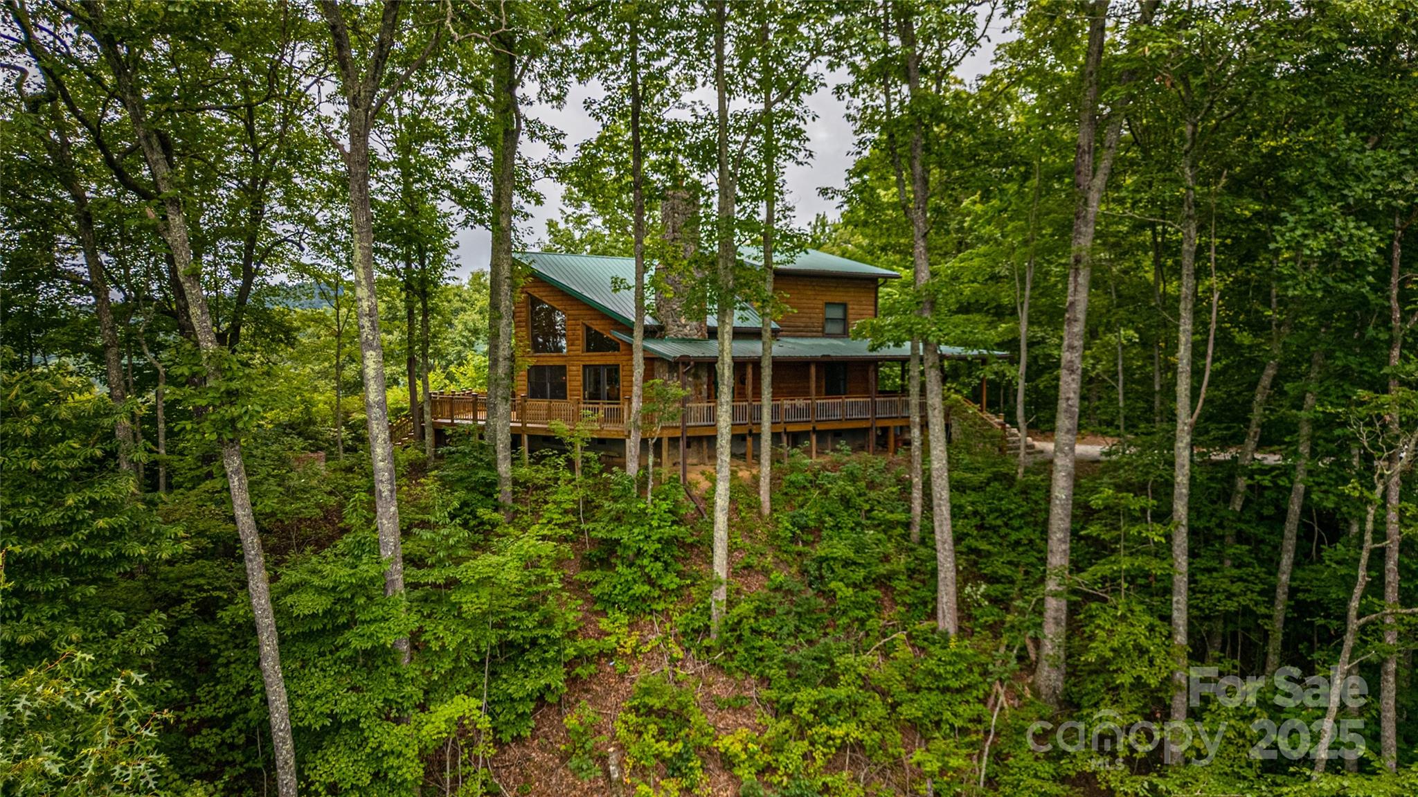 81 Owle Vw Road Bryson City, NC 28713 - Photo 2 of 46