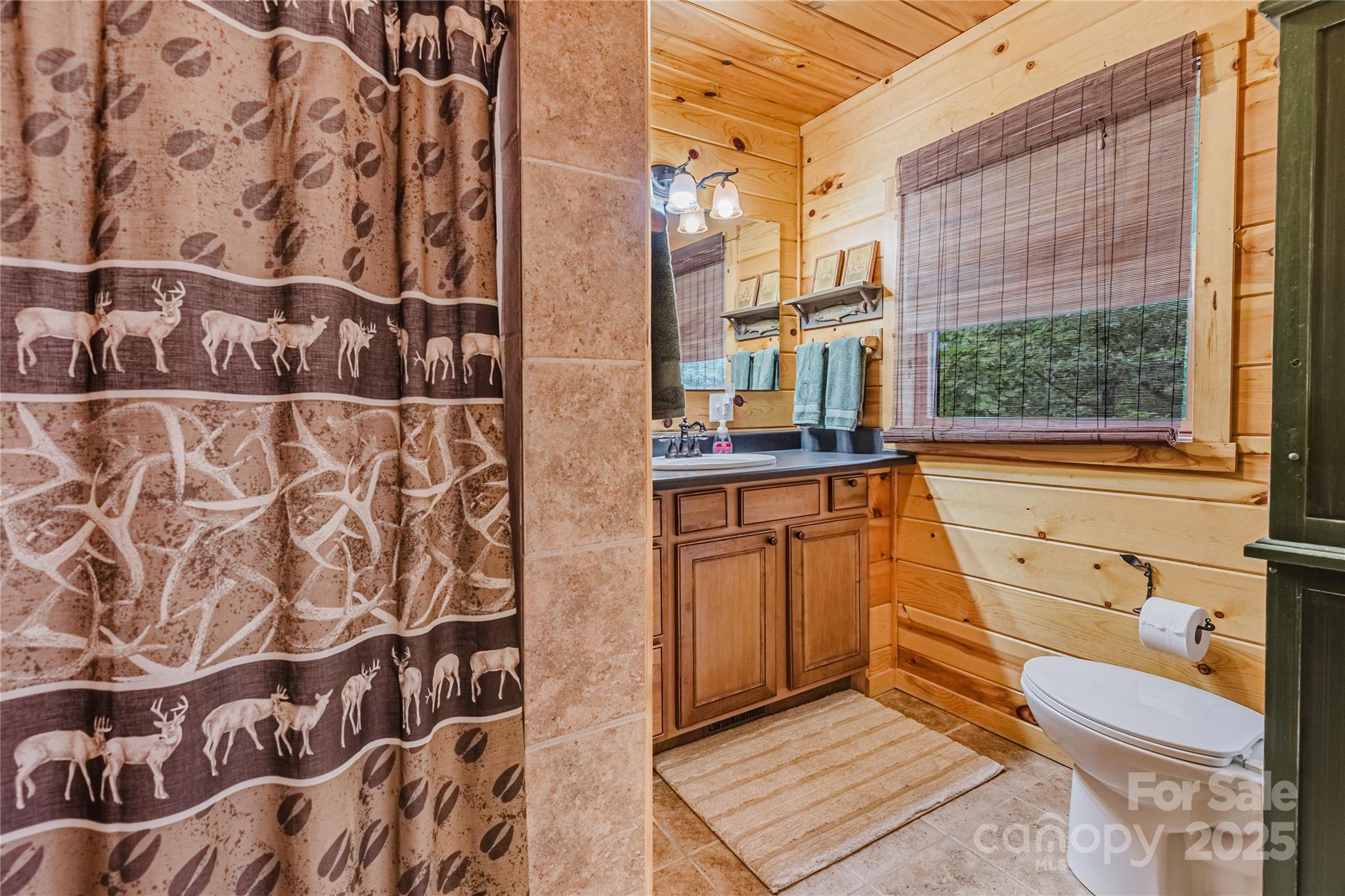81 Owle Vw Road Bryson City, NC 28713 - Photo 39 of 46
