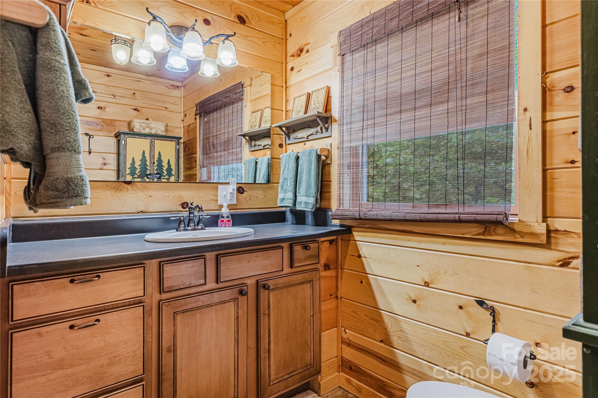 81 Owle Vw Road Bryson City, NC 28713 - Photo 40 of 46