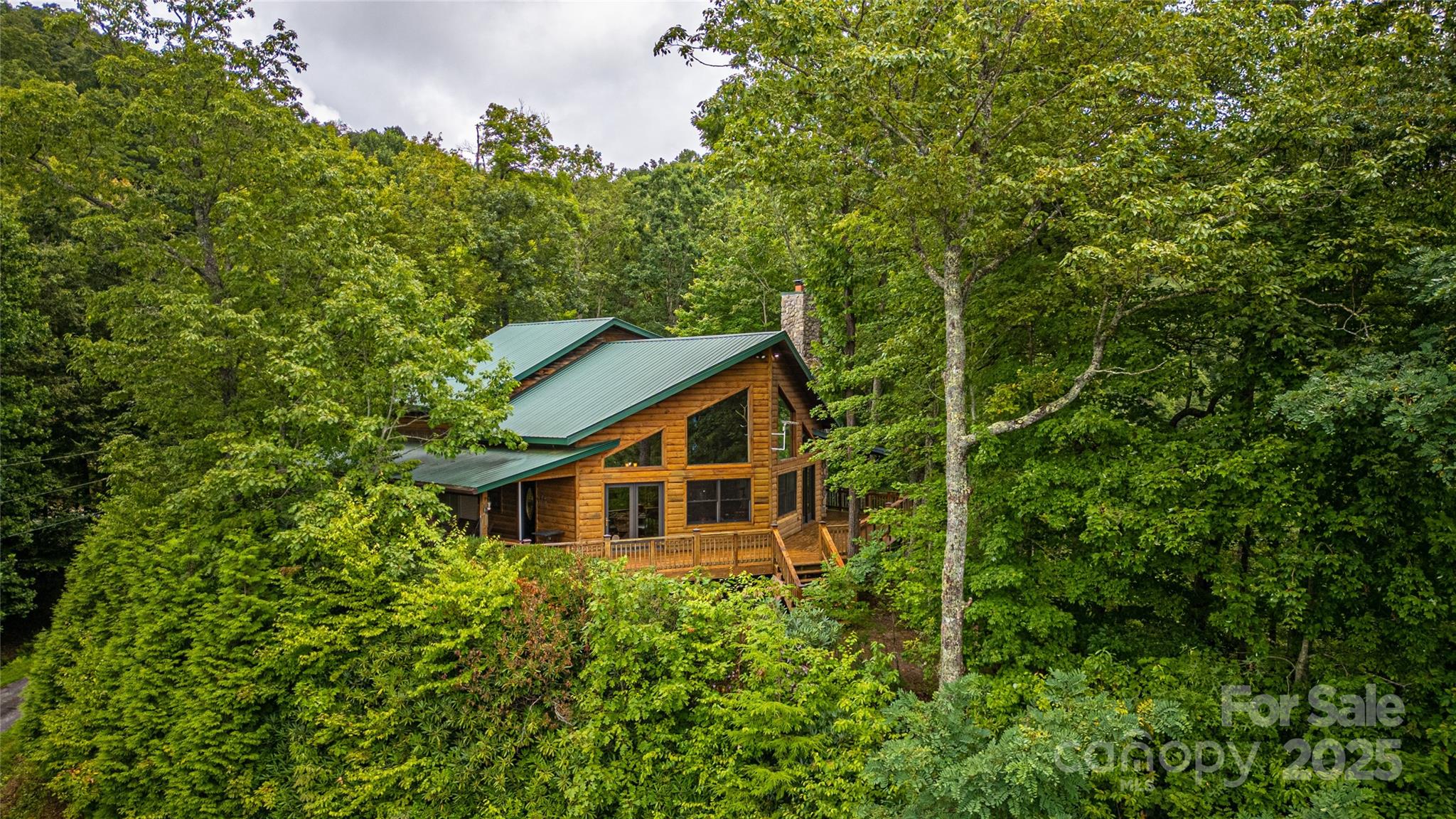 81 Owle Vw Road Bryson City, NC 28713 - Photo 4 of 46
