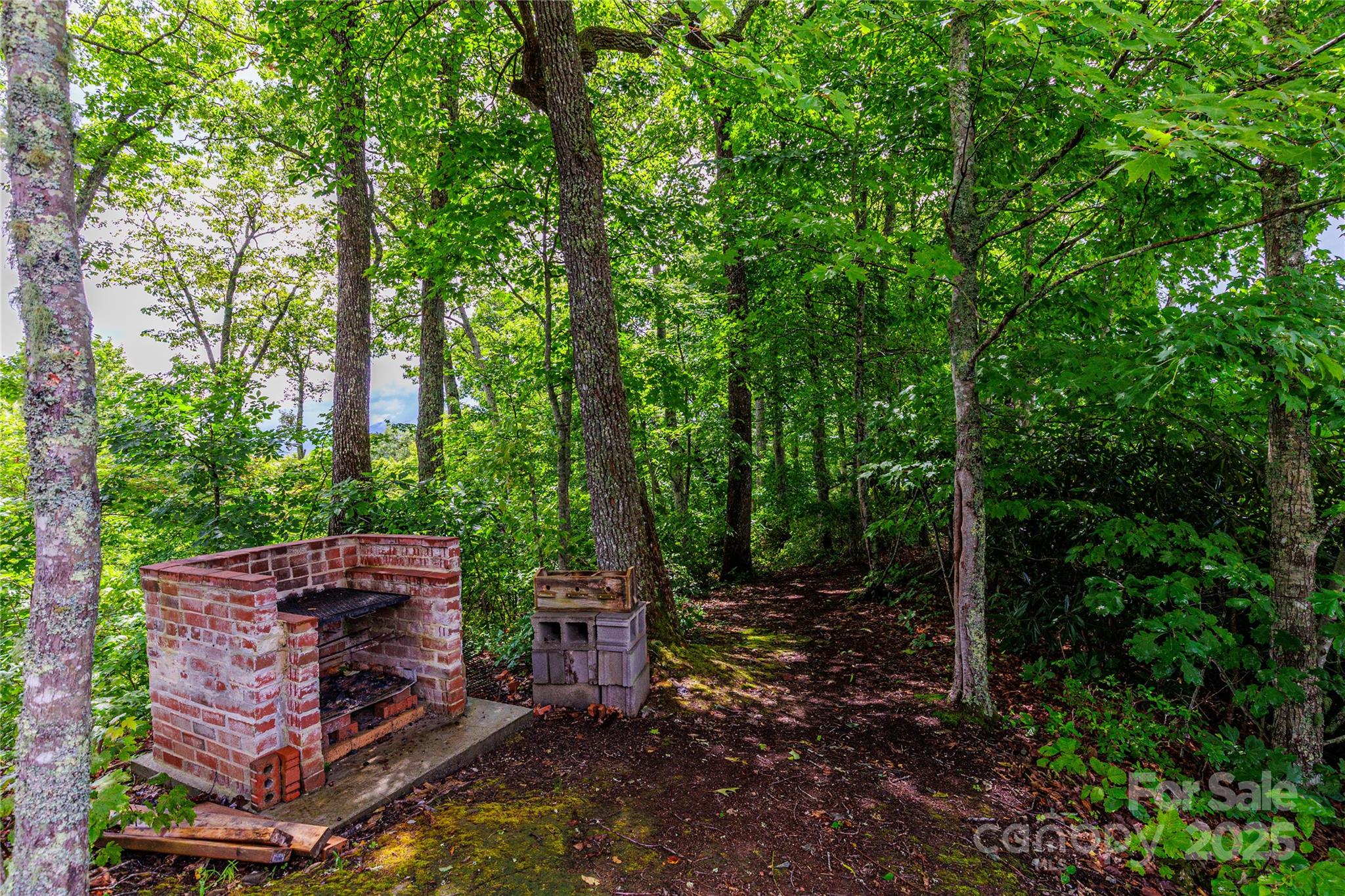 81 Owle Vw Road Bryson City, NC 28713 - Photo 44 of 46