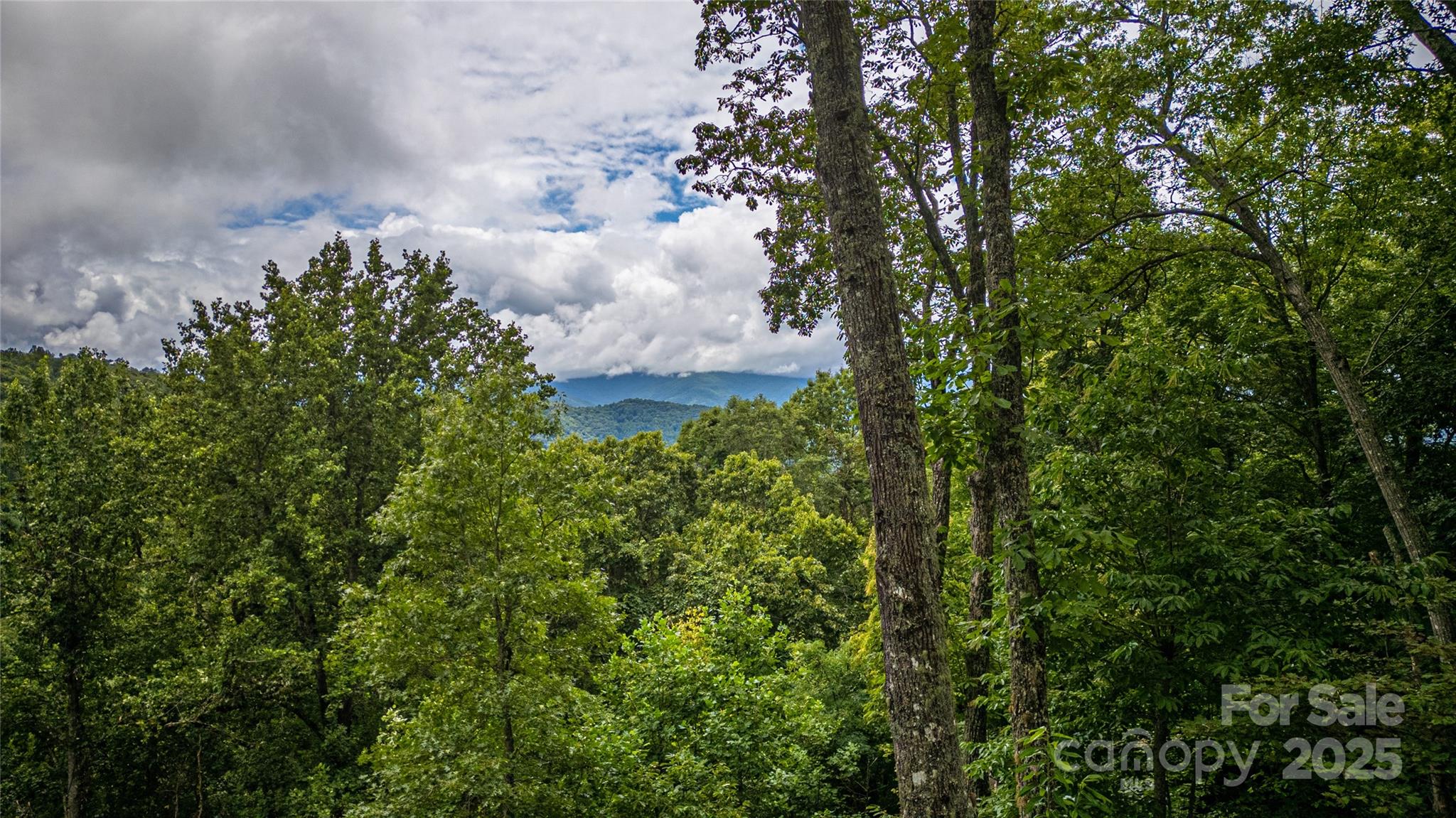 81 Owle Vw Road Bryson City, NC 28713 - Photo 46 of 46