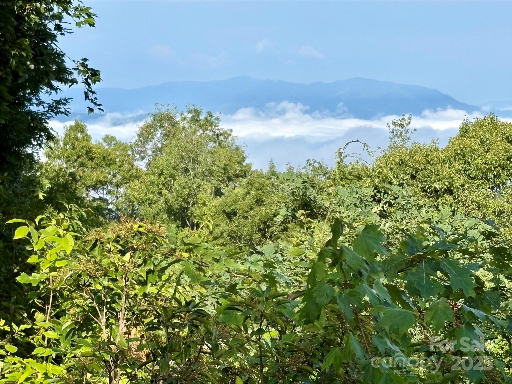 81 Owle Vw Road Bryson City, NC 28713 - Photo 5 of 46