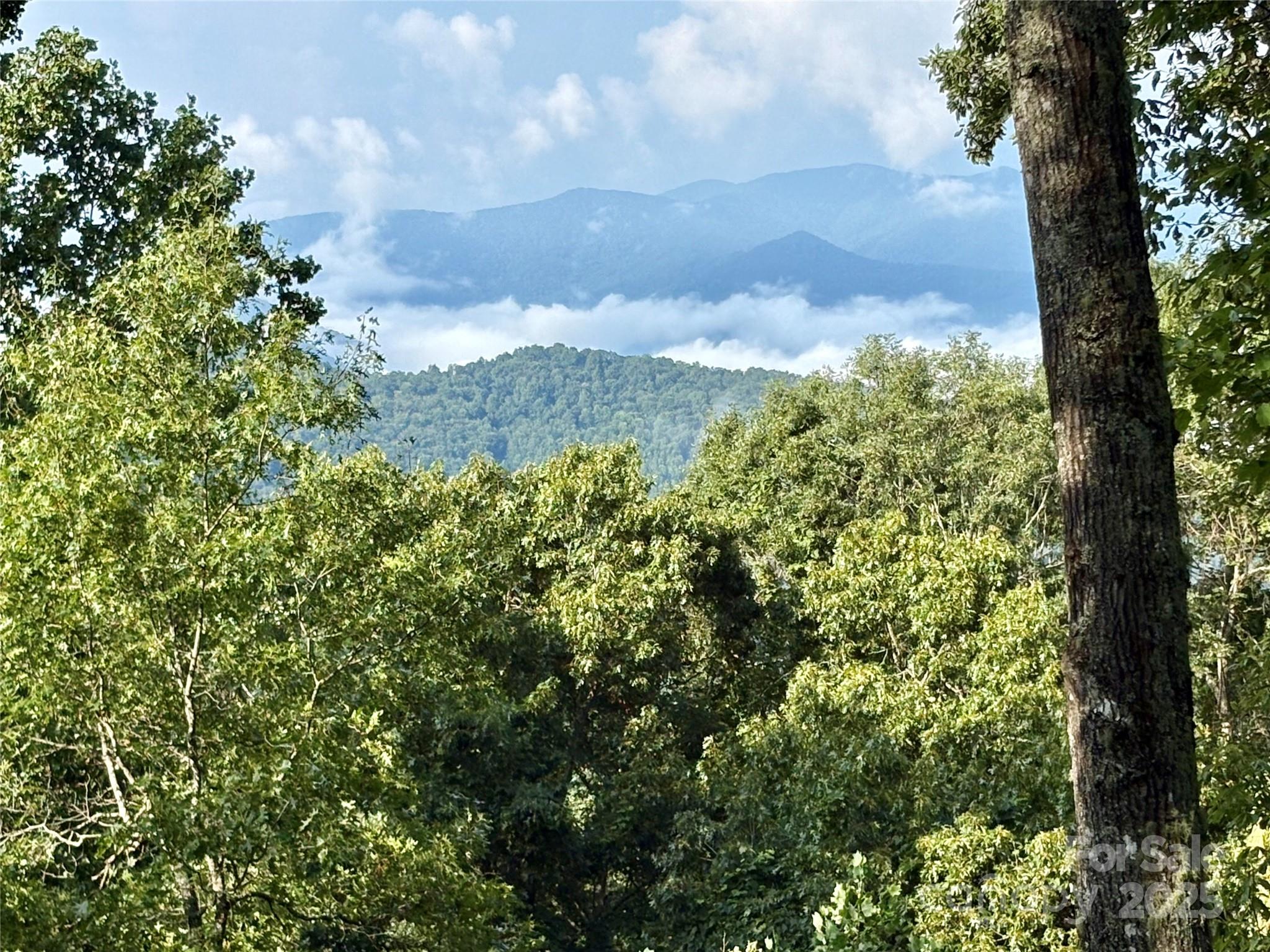 81 Owle Vw Road Bryson City, NC 28713 - Photo 7 of 46