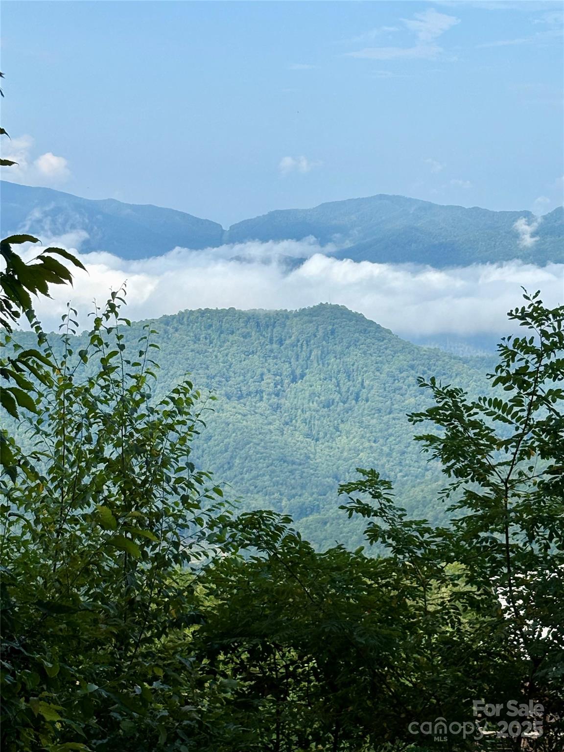 81 Owle Vw Road Bryson City, NC 28713 - Photo 8 of 46