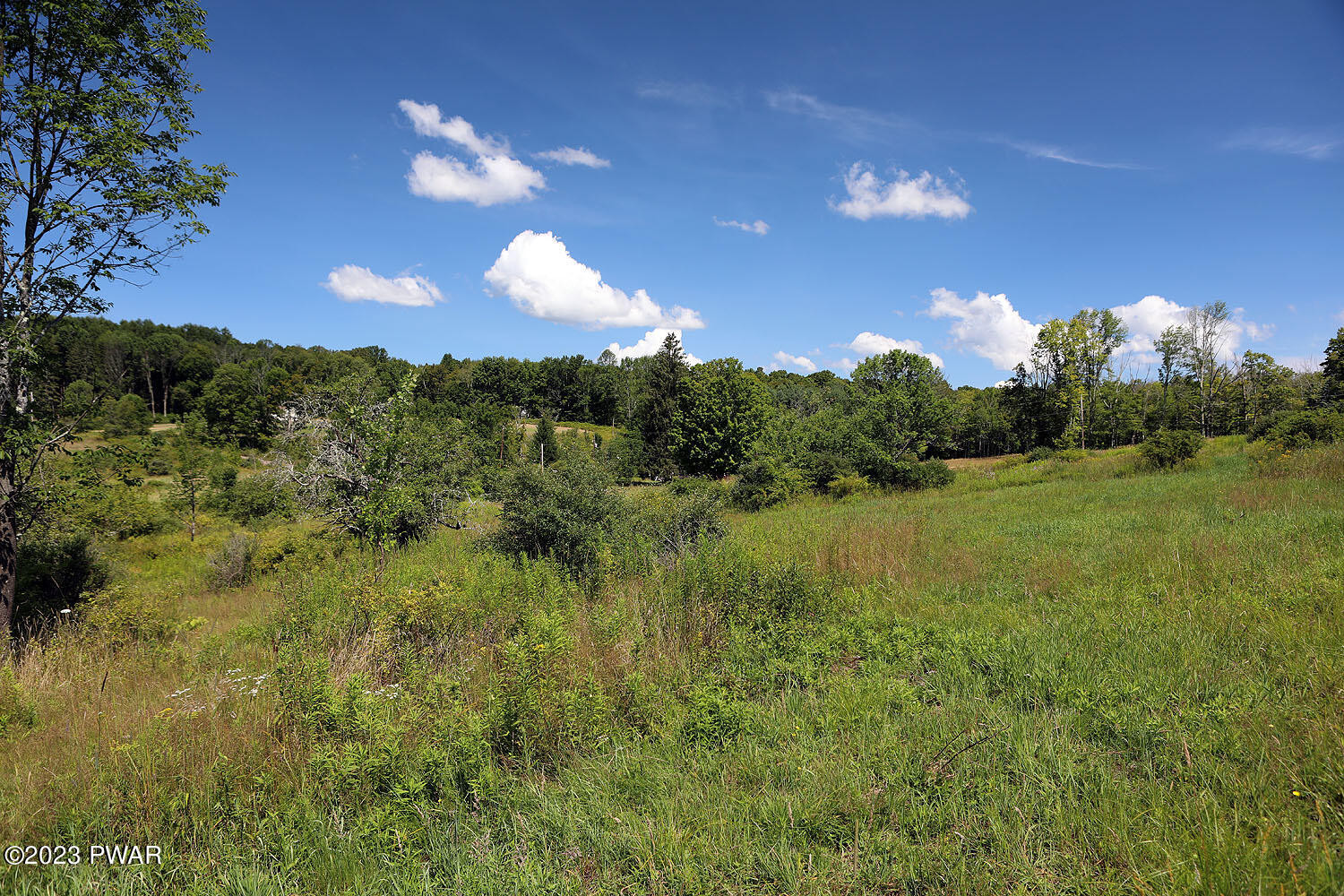 178 Baldwin Hill Road Damascus, PA 18415 - Photo 23 of 38