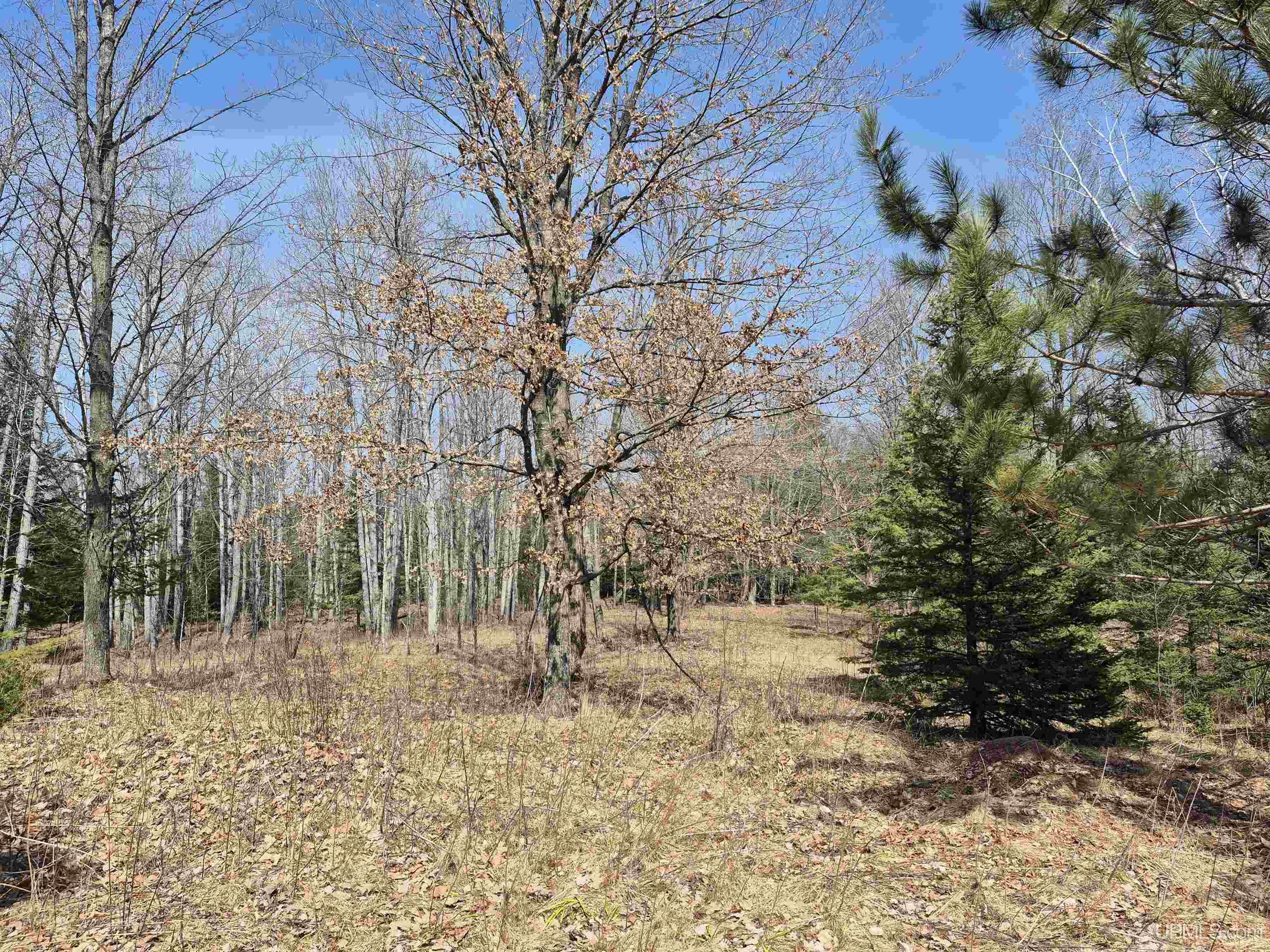 30-acres Turner Road Channing, MI 49815 - Photo 7 of 33