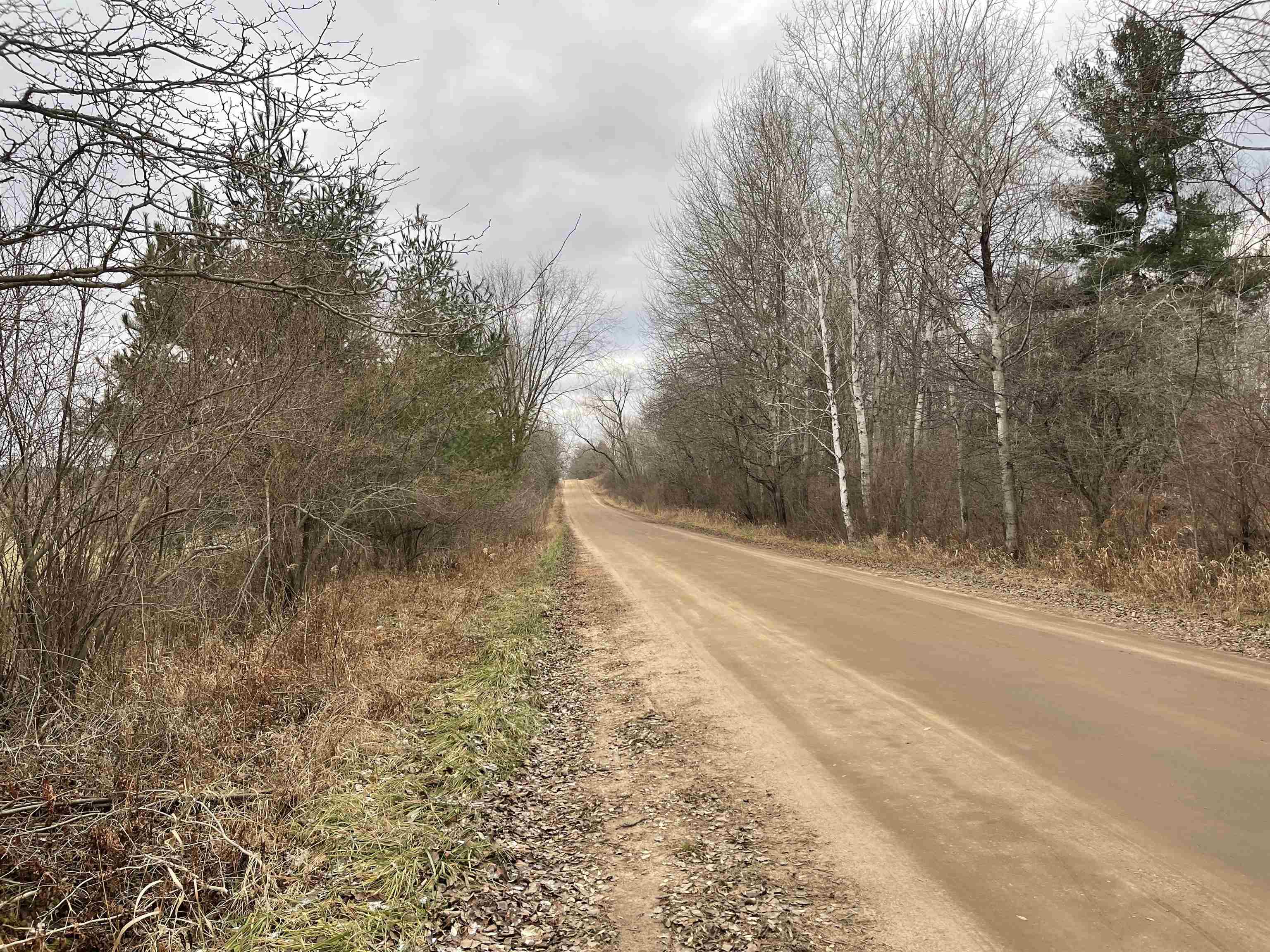 Four 4 Mile Road Evart, MI 49631 - Photo 13 of 38