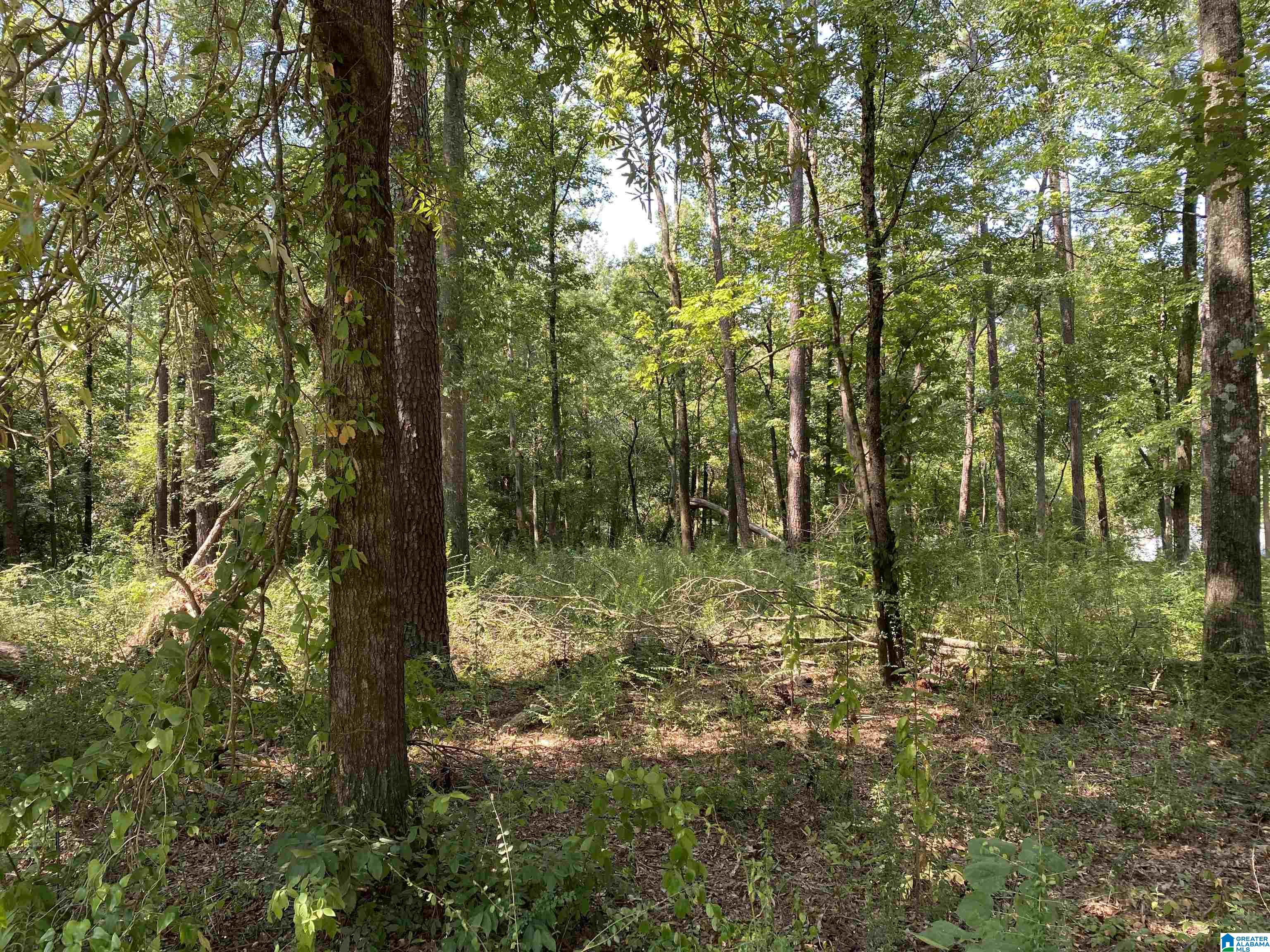 1916 Potter Road, Unit 1916 Bessemer, AL 35020 - Photo 2 of 3