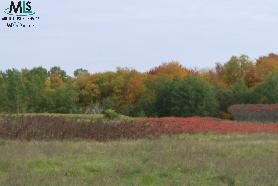 0 Church Street Applegate, MI 48401 - Photo 3 of 9 876825-2.JPG