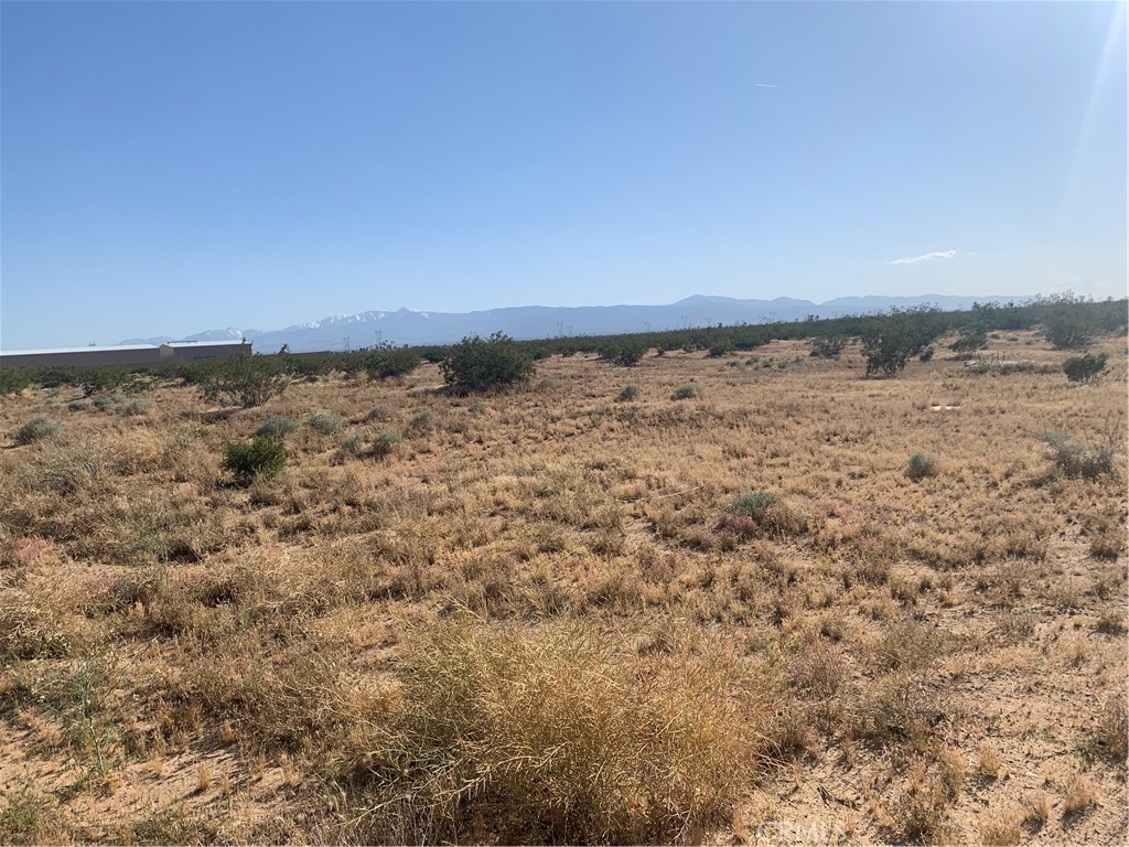 17374 Koala Road Adelanto, CA 92301 - Photo 9 of 33