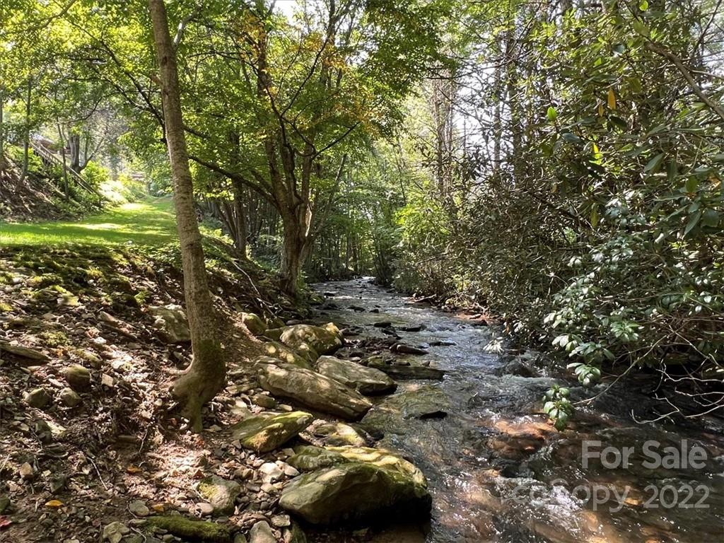 5474 Soco Road Maggie Valley, NC 28751 - Photo 33 of 48 a view of a forest with trees