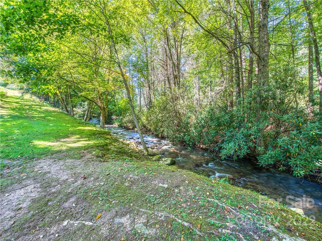 5474 Soco Road Maggie Valley, NC 28751 - Photo 36 of 48 a view of a lush green space