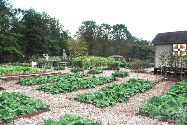 a view of a swimming pool with a yard