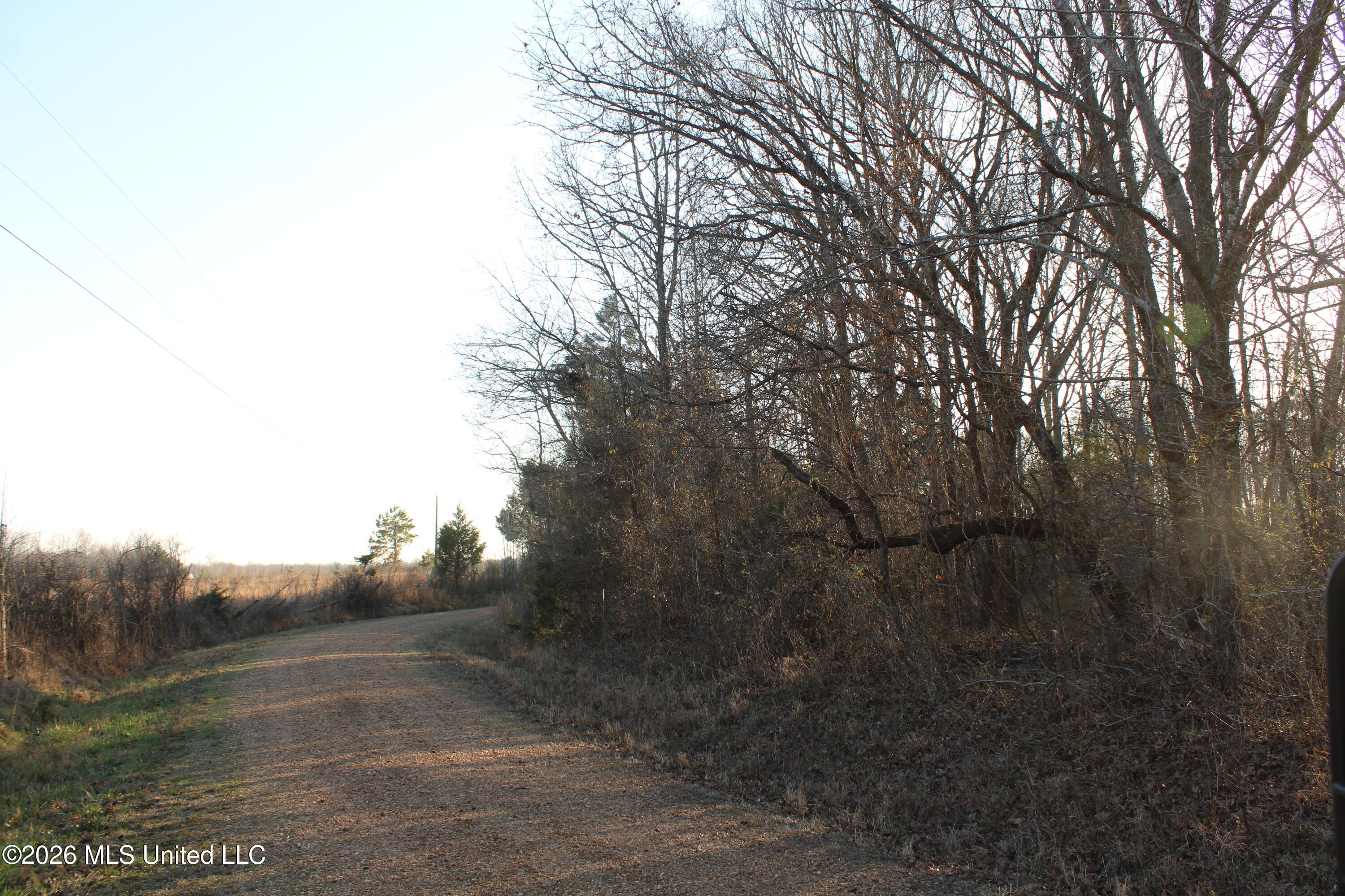 195 Jimmy Lane Holly Springs, MS 38635 - Photo 20 of 31 IMG_7485