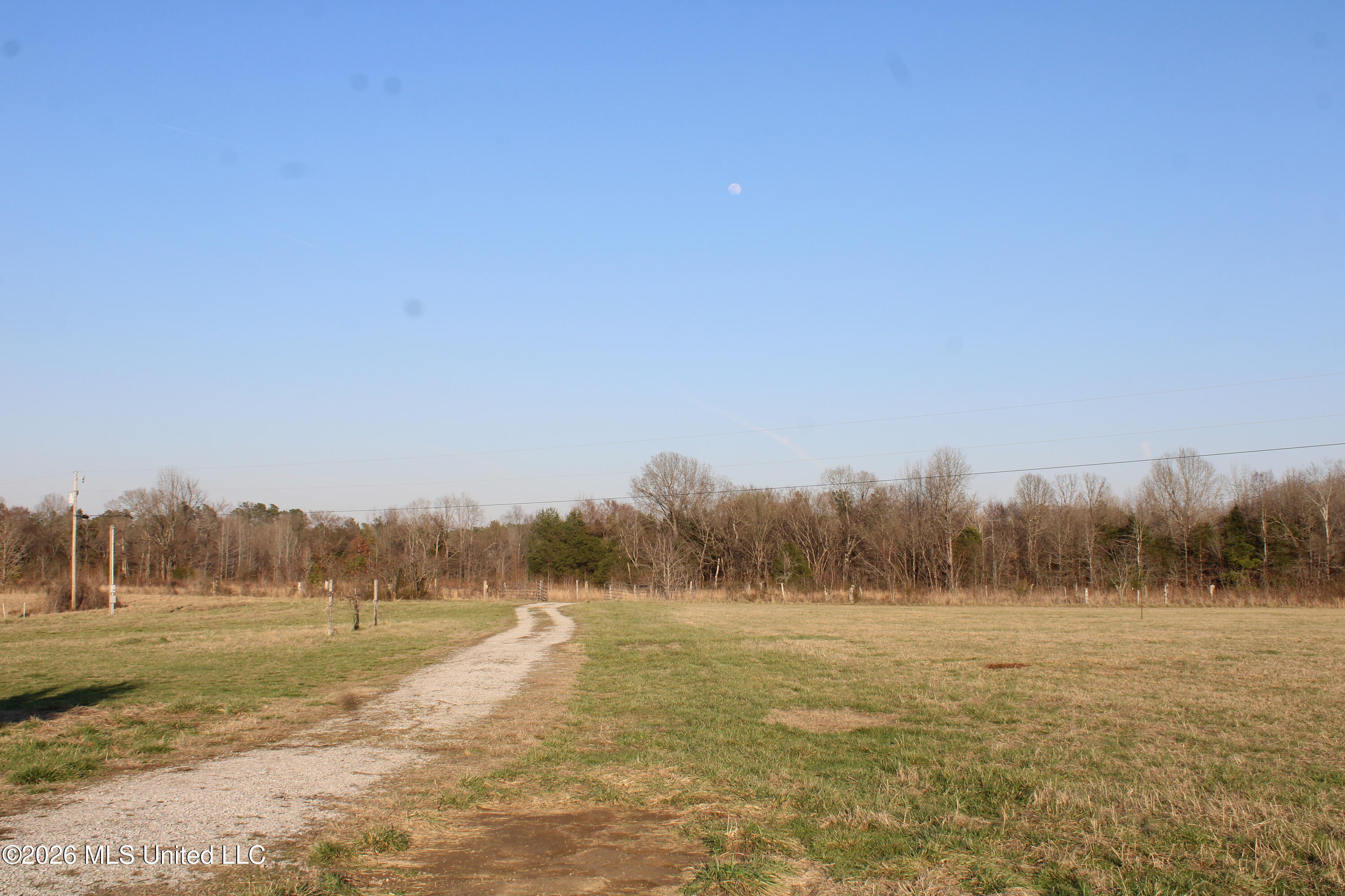 195 Jimmy Lane Holly Springs, MS 38635 - Photo 2 of 31 land