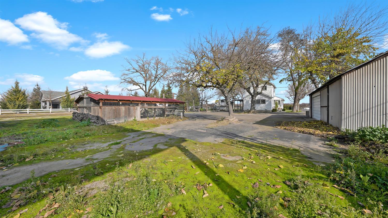 41709 Road 52 Reedley, CA 93654 - Photo 14 of 52 a view of yard with swimming pool and sitting area