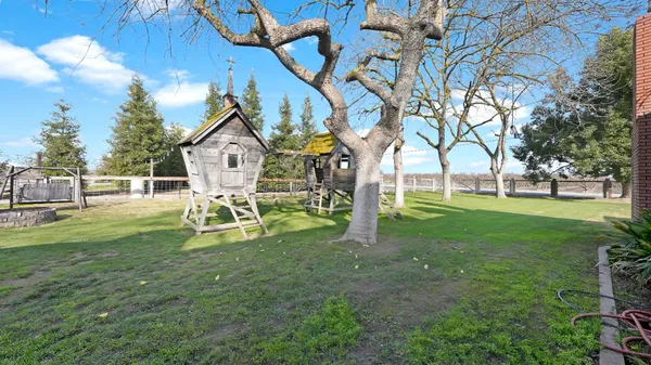 a garden with trees in the background