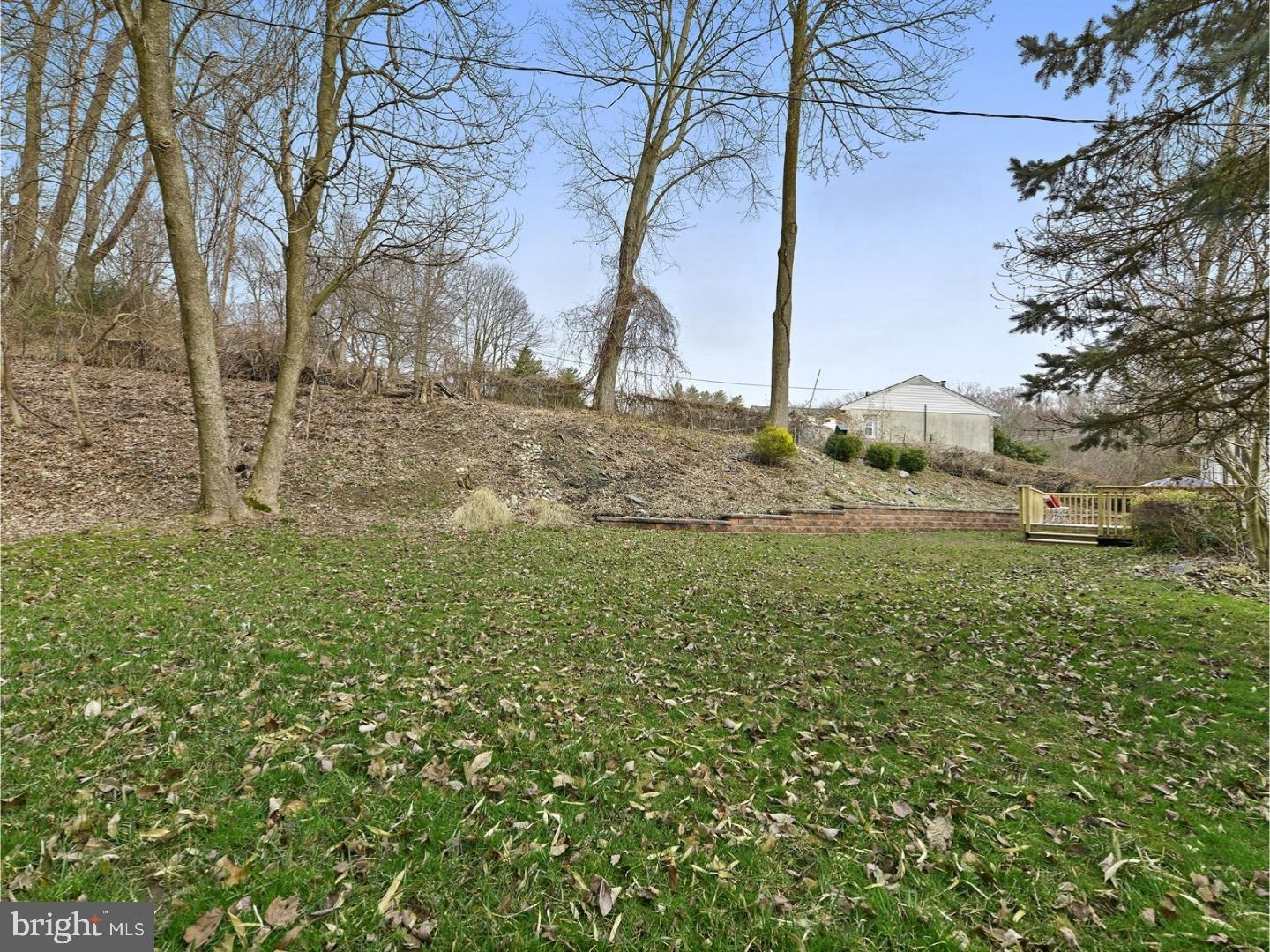 225 Glen Riddle Road Media, PA 19063 - Photo 24 of 25 Back Yard