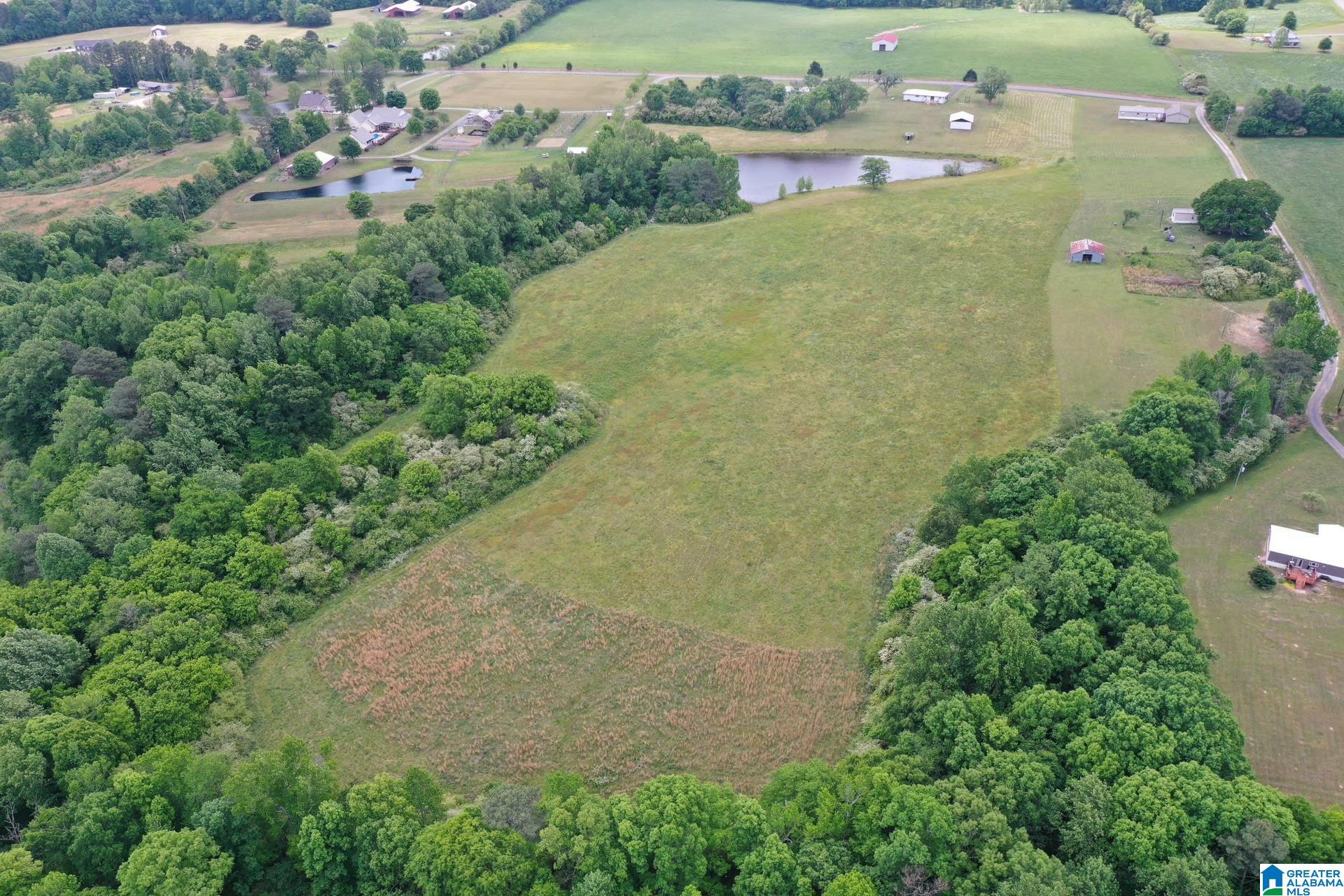 0 Schoolhouse Road Baileyton, AL 35019 - Photo 1 of 14 Gallery Image 1