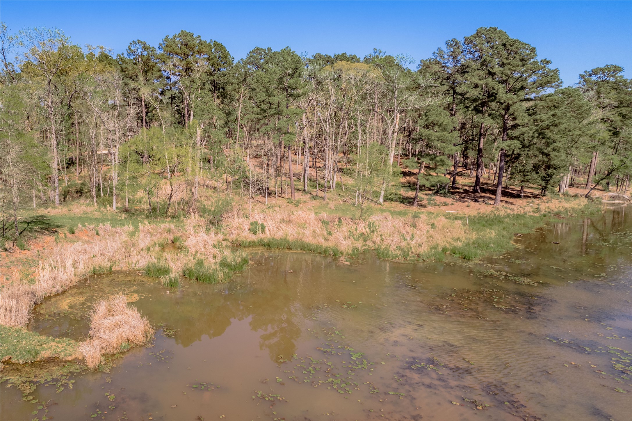 128 Three Lakes Ranch Centerville, TX 75833 - Photo 4 of 11