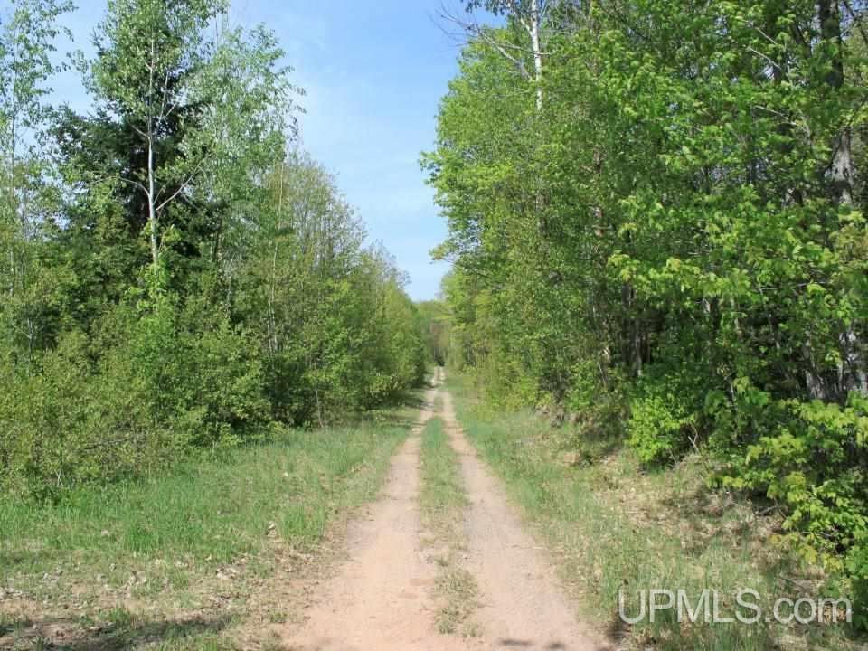 Tbd Emily Lake Road Toivola, MI 49965 - Photo 7 of 36 Gallery Image 7