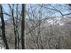 181 Justamere Road Conway, NH 03860 - Photo 6 of 9