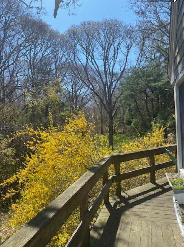 318 Lamberts Cove Road West Tisbury, MA 02568 - Photo 6 of 10 From the deck