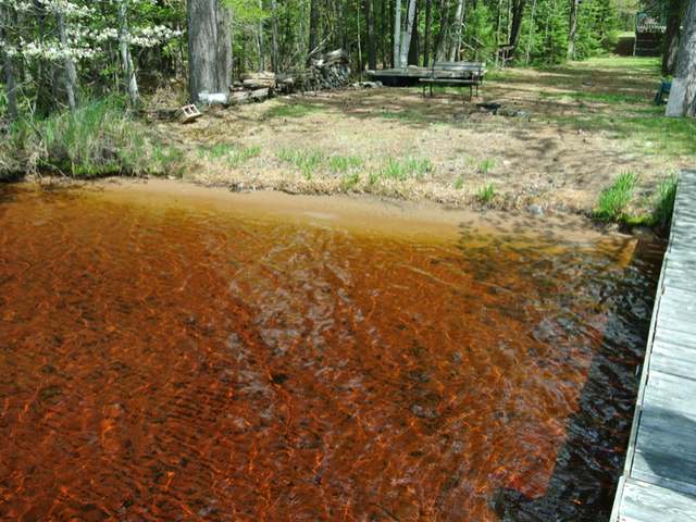 915 North Big Lake Loop Road Three Lakes, WI 54562 - Photo 3 of 18 Gallery Image 3