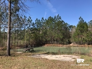 2478 Luke Rivers Road McIntosh, AL 36553 - Photo 16 of 22 Back Yard