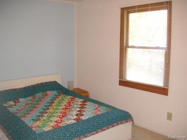 6891 John R Road Troy, MI 48085 - Photo 12 of 19 3rd Bedroom