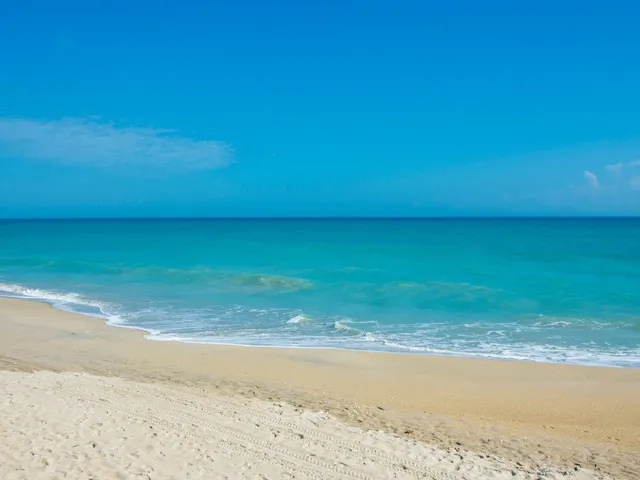 $12,000 | 5554 Jimmy Buffett Mem Highway, Unit 202, Vero Beach, FL 32963