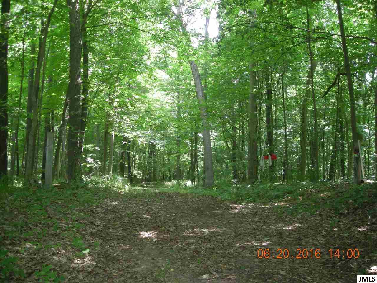 V/l Hubbard Road Concord, MI 49237 - Photo 1 of 7 Clearing!