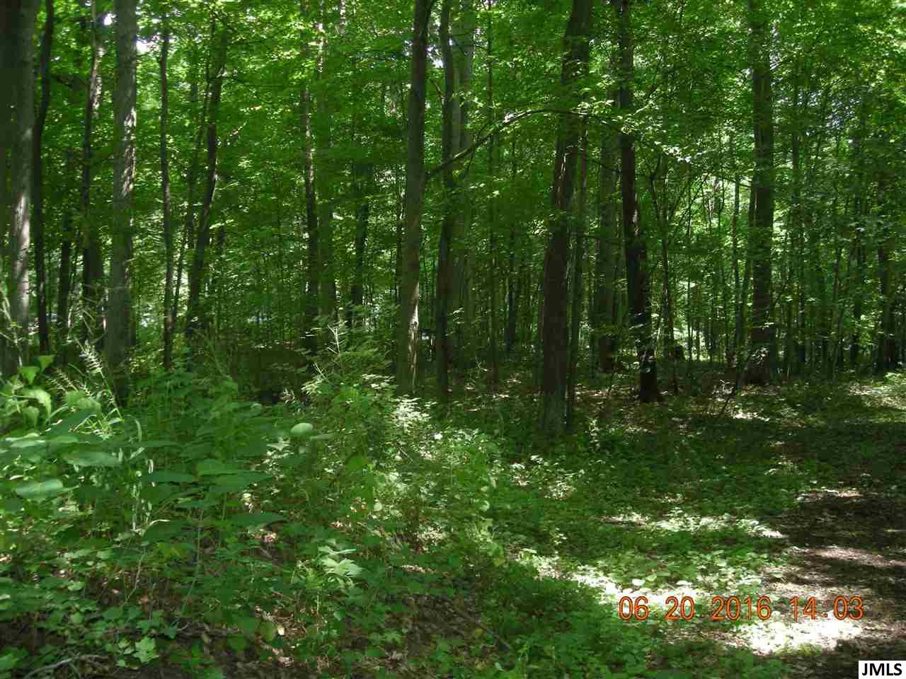 V/l Hubbard Road Concord, MI 49237 - Photo 2 of 7 Photo 2