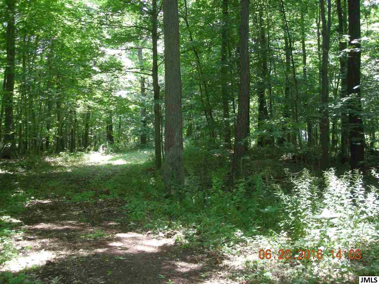 V/l Hubbard Road Concord, MI 49237 - Photo 3 of 7 Drive to clearing!