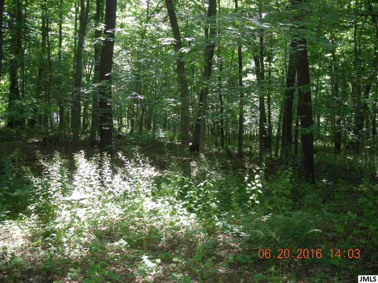 V/l Hubbard Road Concord, MI 49237 - Photo 4 of 7 Photo 4