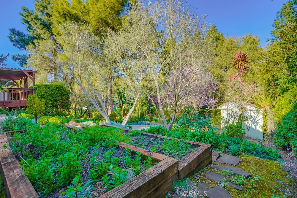 5205 Middlecrest Road Rancho Palos Verdes, CA 90275 - Photo 16 of 36 a view of a backyard with plants