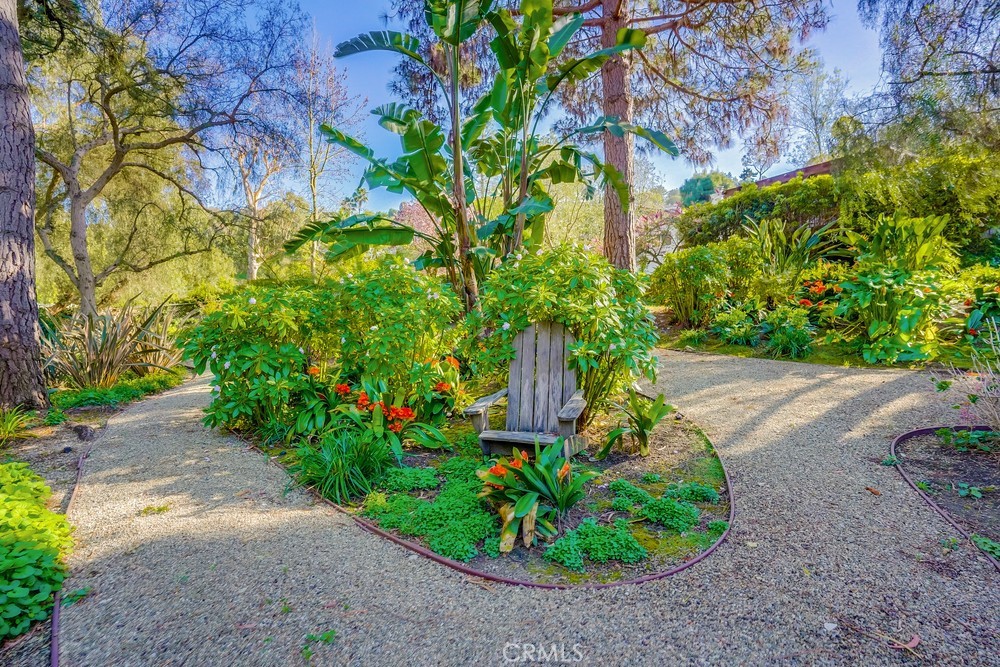 5205 Middlecrest Road Rancho Palos Verdes, CA 90275 - Photo 24 of 36 a view of a yard with plants and trees