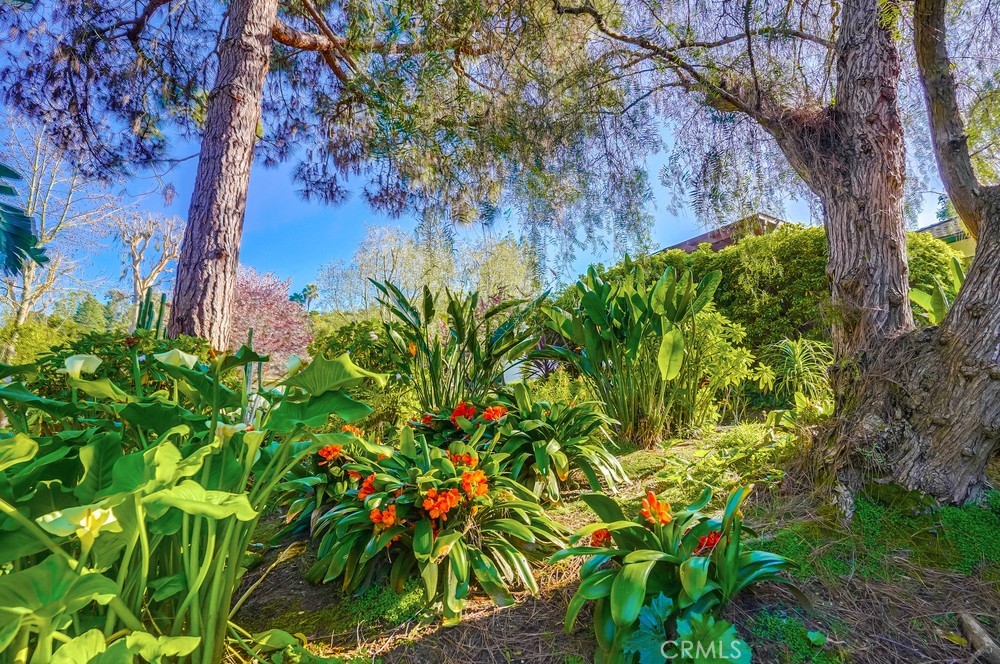 5205 Middlecrest Road Rancho Palos Verdes, CA 90275 - Photo 25 of 36 a backyard of a house with lots of green space